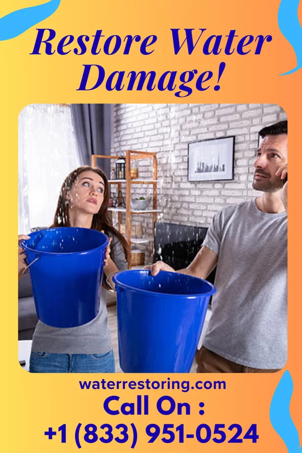 water restoration Eagle Sewage Cleanup Pros Danforth